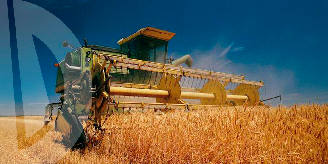 ASTARTA harvested early grains
