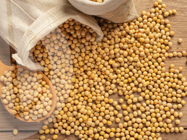 Deep soybean processing: Astarta’s plans and prospects for Ukraine